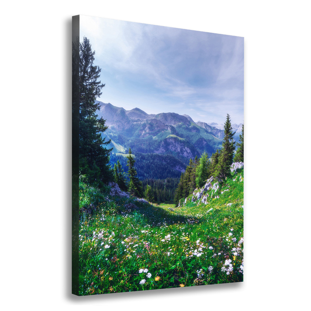Foto obraz drukowany na płótnie pionowy Alpy