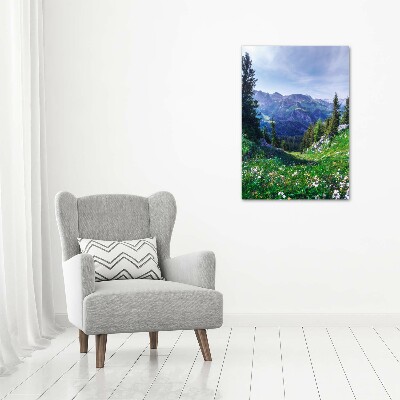 Foto obraz drukowany na płótnie pionowy Alpy