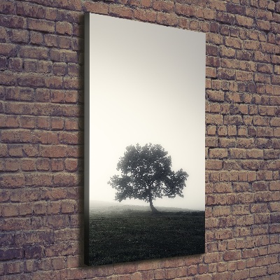 Foto obraz na płótnie pionowy Drzewo we mgle
