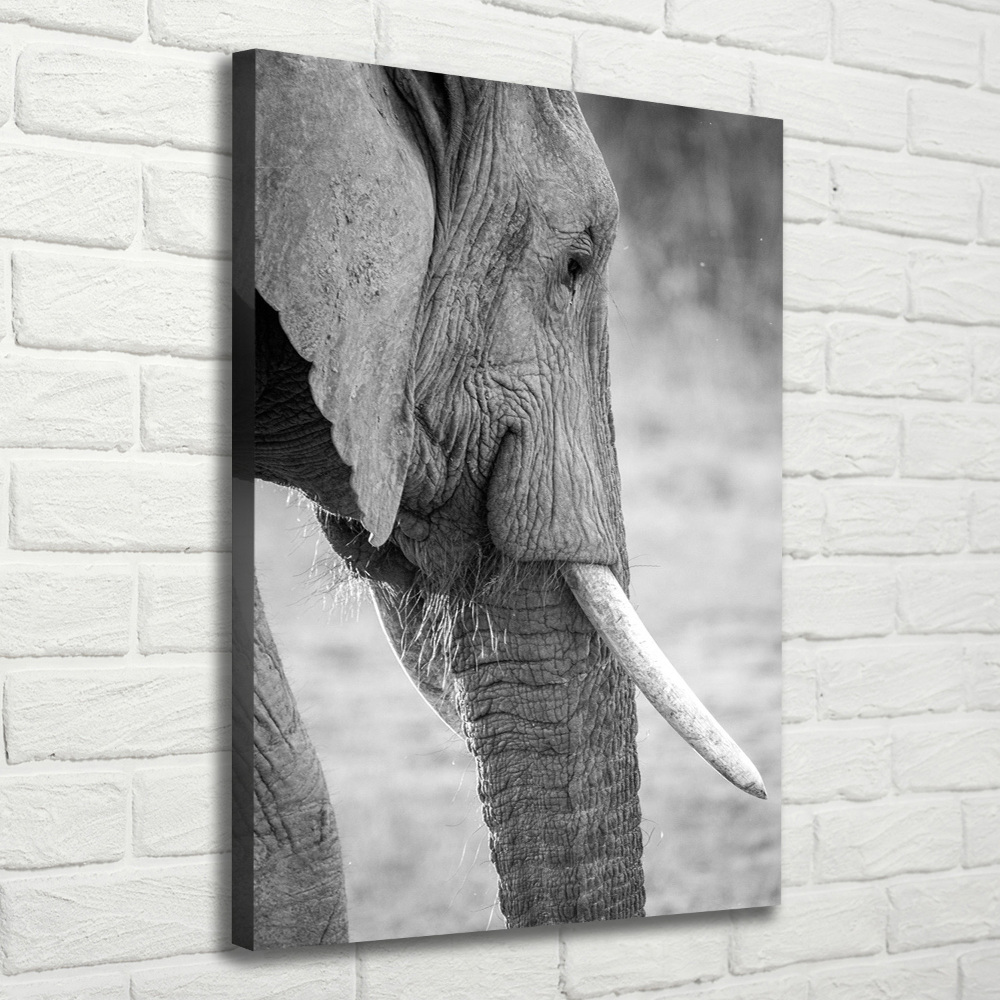 Foto obraz drukowany na płótnie pionowy Słoń