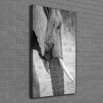 Foto obraz drukowany na płótnie pionowy Słoń