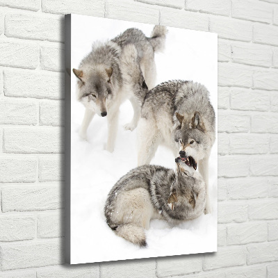 Foto obraz na płótnie do salonu pionowy Szare wilki
