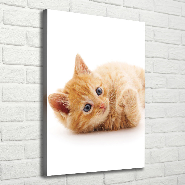 Foto obraz canvas pionowy Mały rudy kot