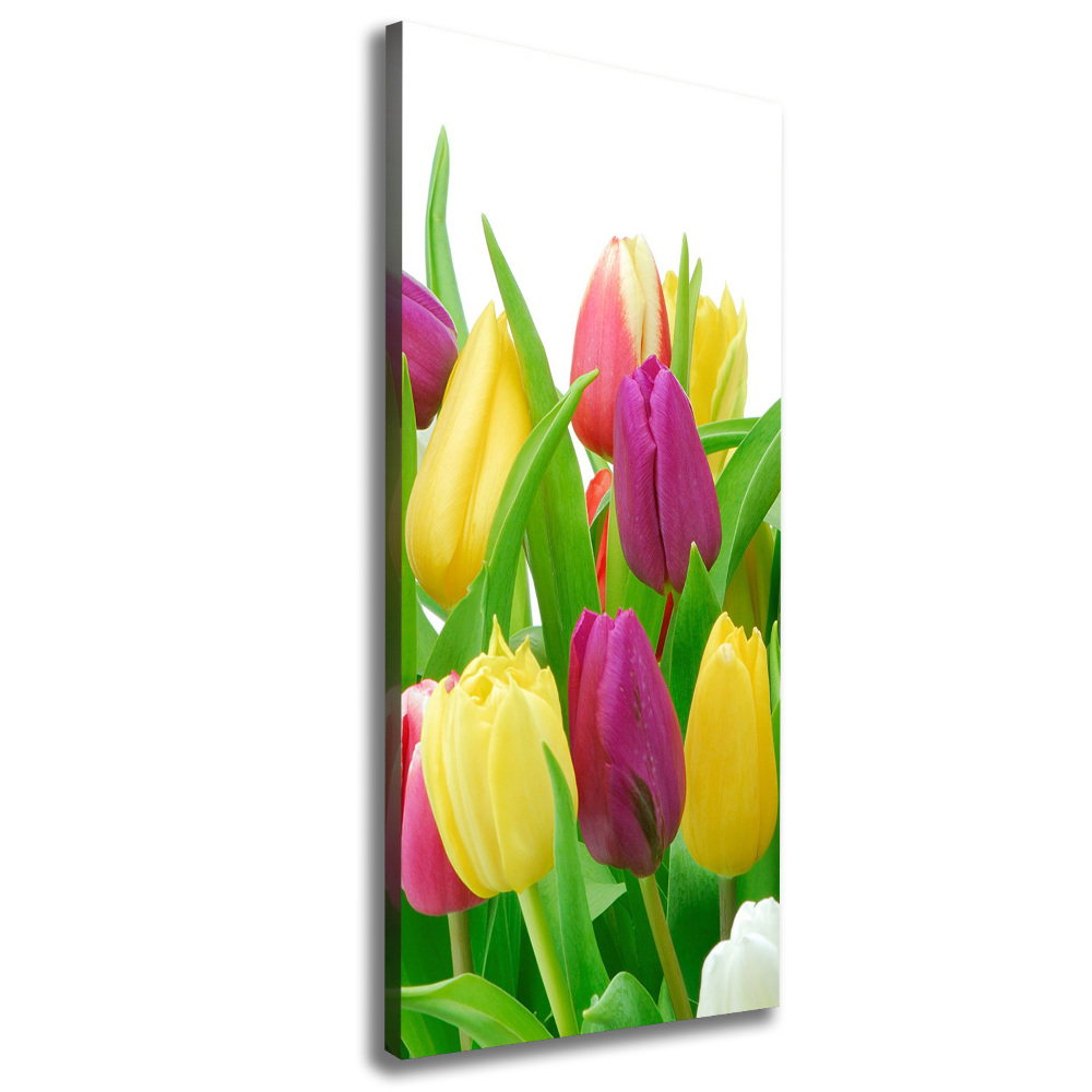 Foto obraz na płótnie pionowy Kolorowe tulipany