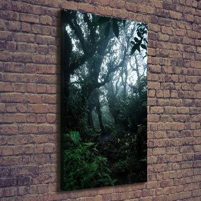Foto obraz na płótnie pionowy Las deszczowy