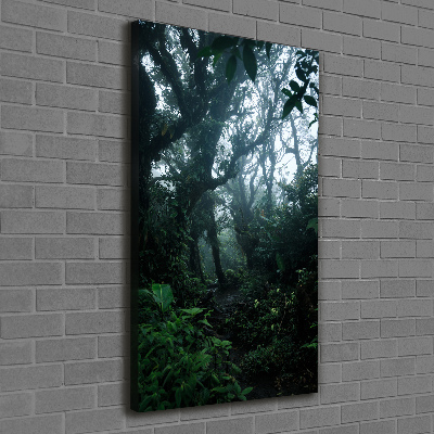 Foto obraz na płótnie pionowy Las deszczowy