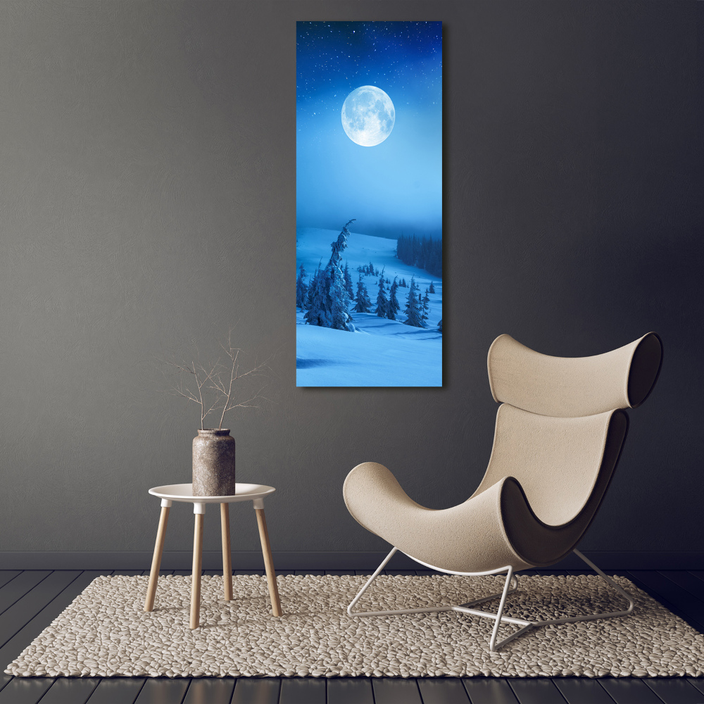 Foto obraz na płótnie pionowy Pełnia księżyca