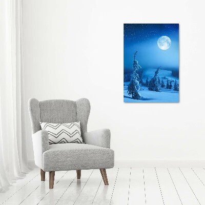 Foto obraz na płótnie pionowy Pełnia księżyca