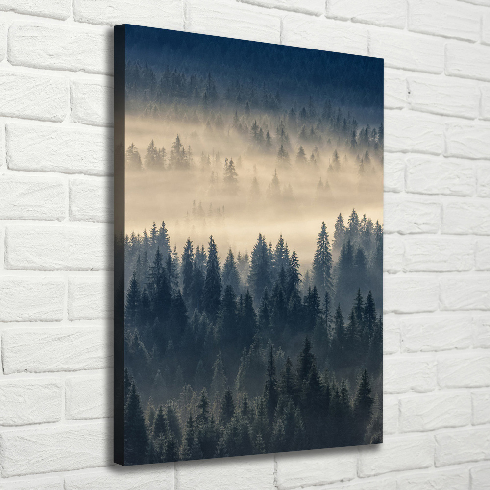 Foto obraz na płótnie pionowy Mgła nad lasem