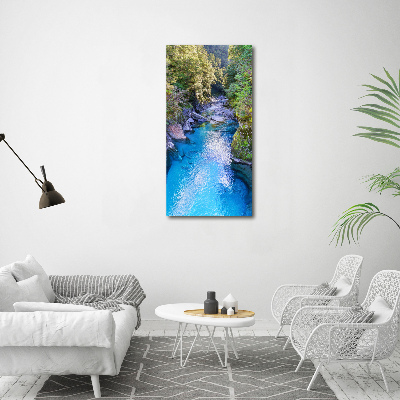 Foto obraz canvas pionowy Rzeka w lesie
