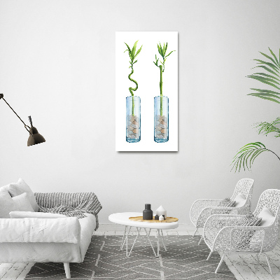 Foto obraz na płótnie pionowy Bambus w doniczce
