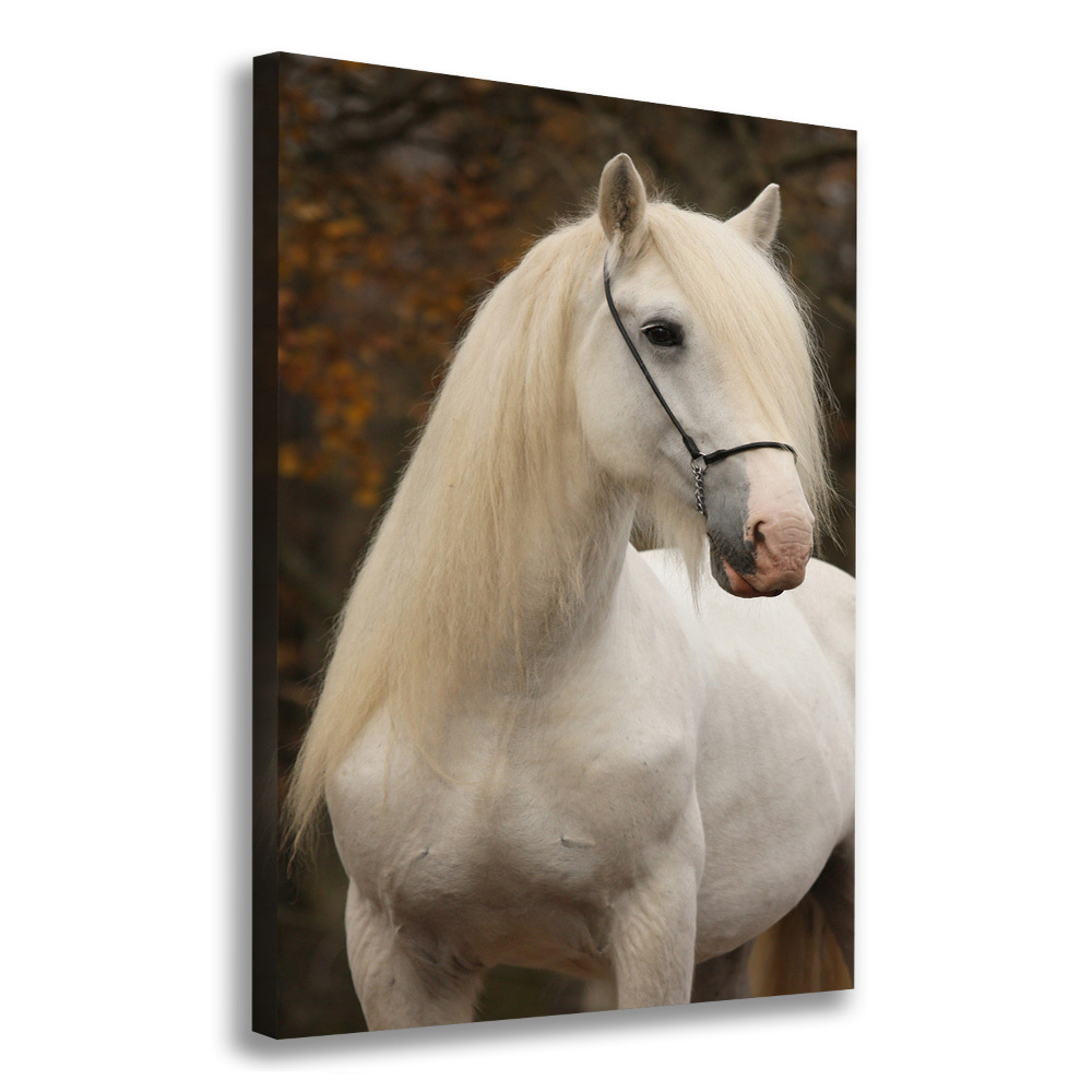Foto obraz na płótnie do salonu pionowy Biały koń