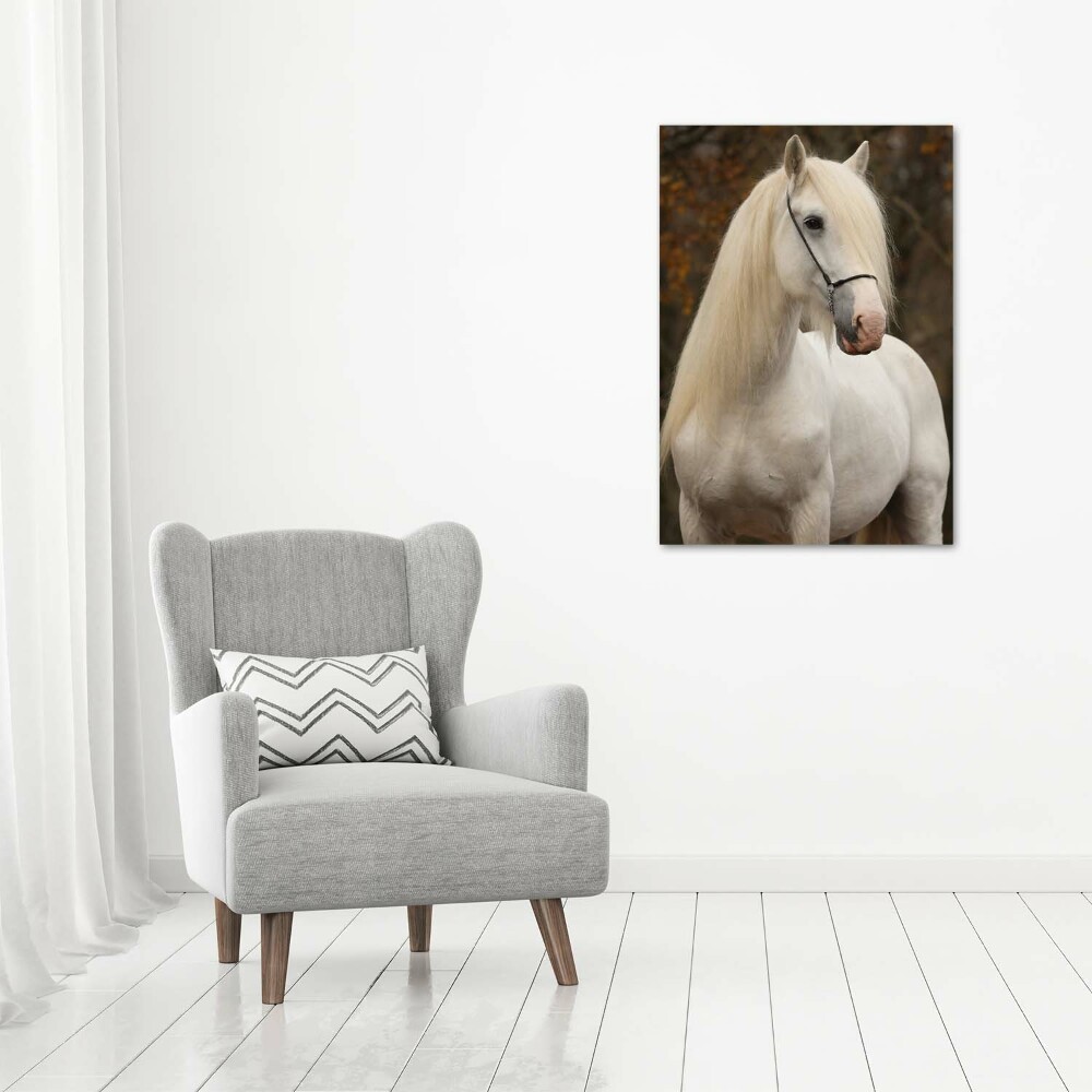 Foto obraz na płótnie do salonu pionowy Biały koń
