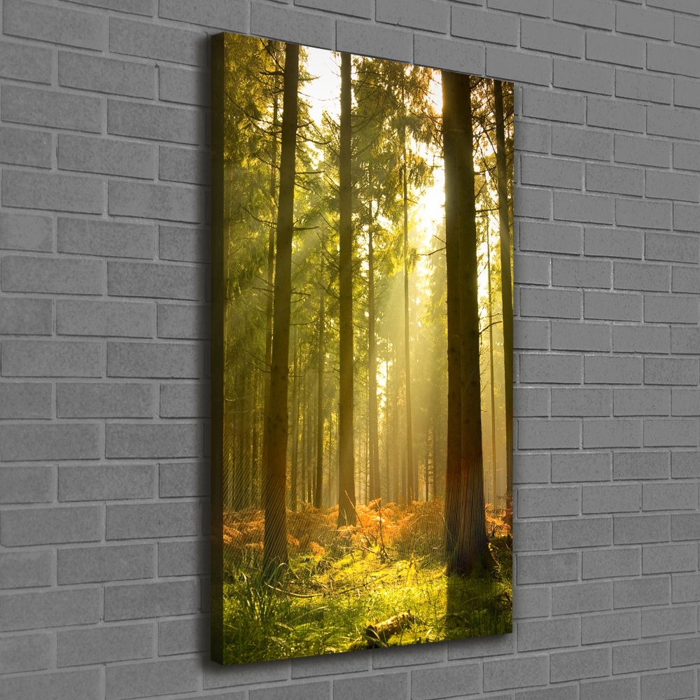 Foto obraz na płótnie do salonu pionowy Piękny las