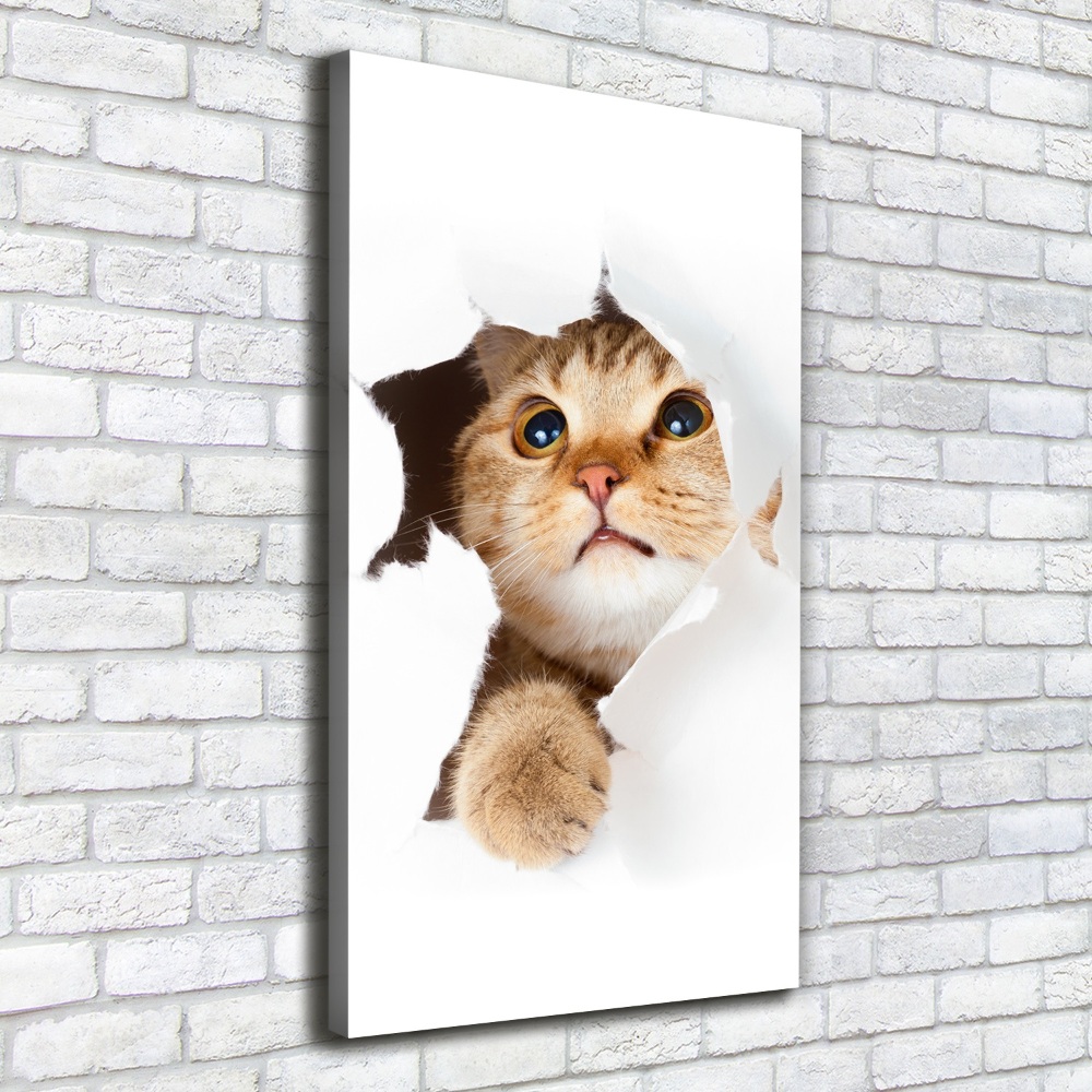Foto obraz canvas pionowy Kot