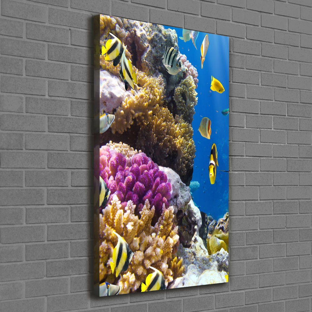 Foto obraz canvas pionowy Rafa koralowa