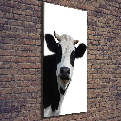Foto obraz canvas pionowy Łaciata krowa