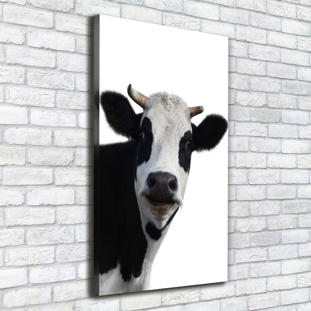 Foto obraz canvas pionowy Łaciata krowa