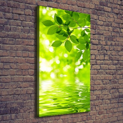 Foto obraz na płótnie pionowy Zielone liście