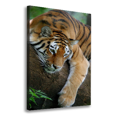 Foto obraz na płótnie pionowy Tygrys na drzewie