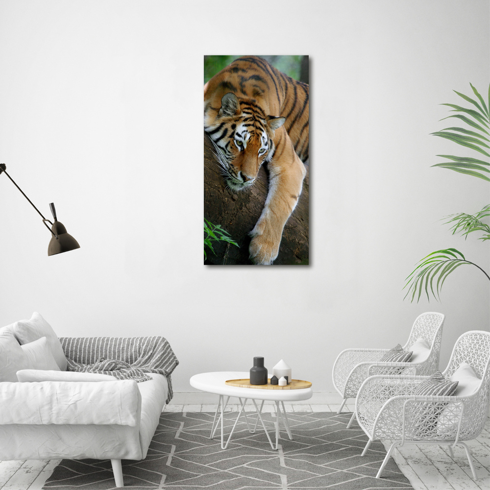 Foto obraz na płótnie pionowy Tygrys na drzewie