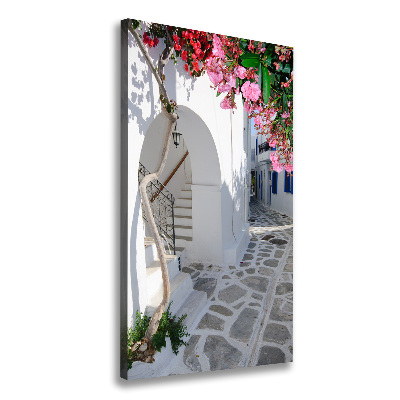 Foto obraz na płótnie pionowy Grecka wioska