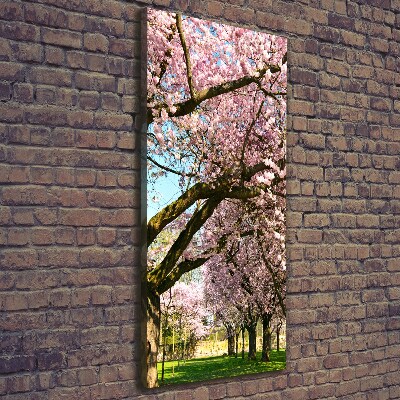 Foto obraz canvas pionowy Drzewa wiśni