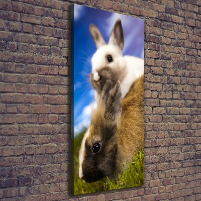 Foto obraz na płótnie do salonu pionowy Dwa króliki
