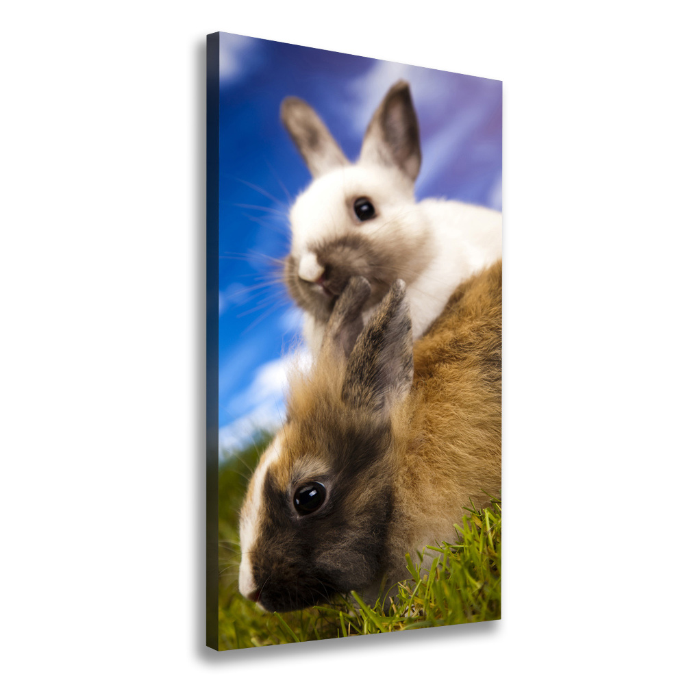 Foto obraz na płótnie do salonu pionowy Dwa króliki
