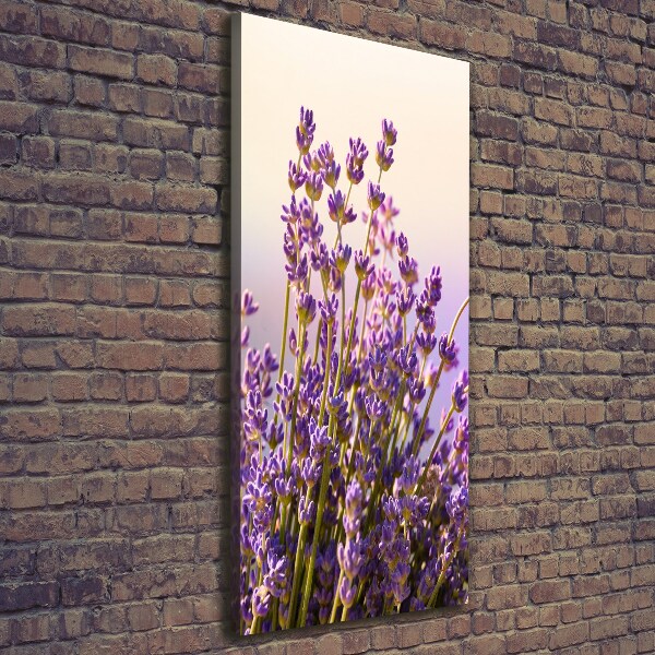 Nowoczesny obraz canvas na ramie pionowy Lawenda