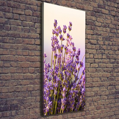 Nowoczesny obraz canvas na ramie pionowy Lawenda