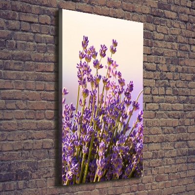 Nowoczesny obraz canvas na ramie pionowy Lawenda