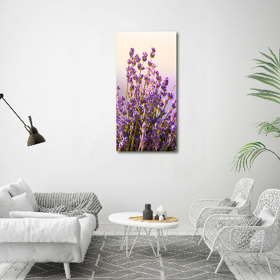 Nowoczesny obraz canvas na ramie pionowy Lawenda