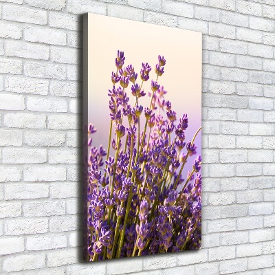 Nowoczesny obraz canvas na ramie pionowy Lawenda