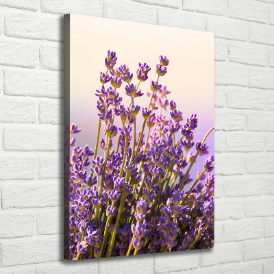 Nowoczesny obraz canvas na ramie pionowy Lawenda