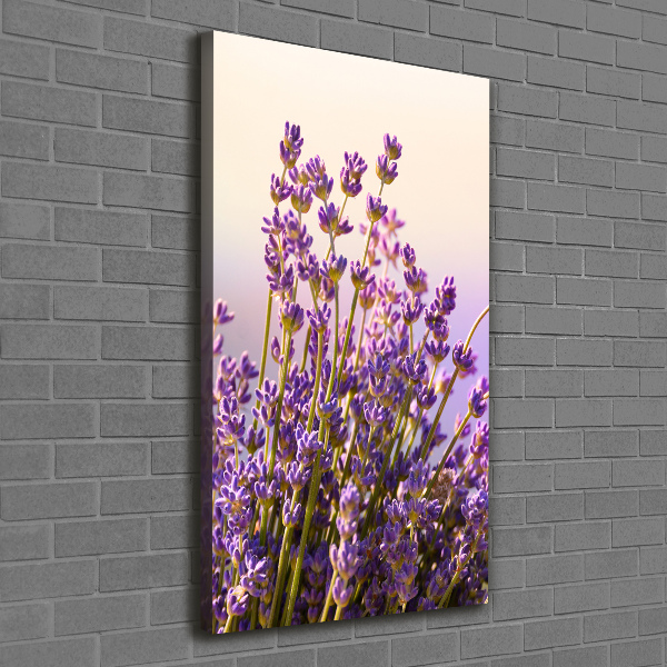 Nowoczesny obraz canvas na ramie pionowy Lawenda