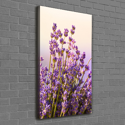 Nowoczesny obraz canvas na ramie pionowy Lawenda