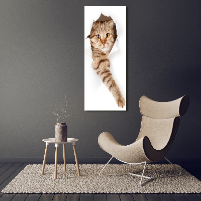 Foto obraz canvas pionowy Kot