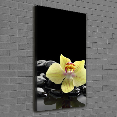 Foto obraz na płótnie pionowy Orchidea i kamienie