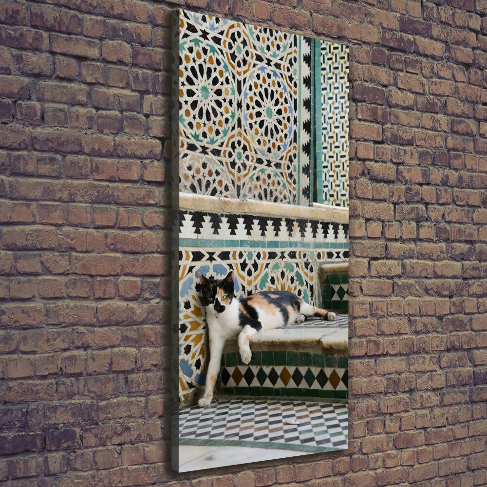 Foto obraz canvas pionowy Kot w Maroko