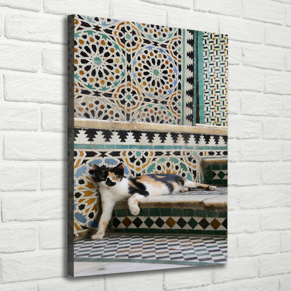 Foto obraz canvas pionowy Kot w Maroko
