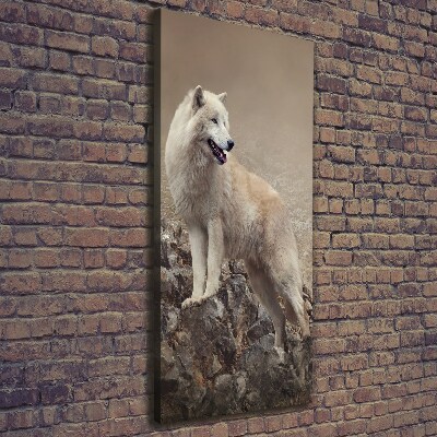 Foto obraz canvas pionowy Wilk na skale