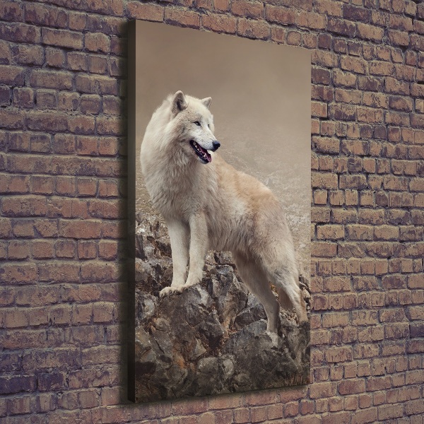 Foto obraz canvas pionowy Wilk na skale