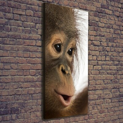 Foto obraz na płótnie pionowy Młody orangutan