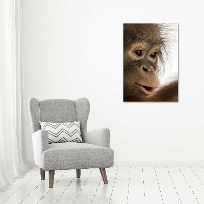 Foto obraz na płótnie pionowy Młody orangutan