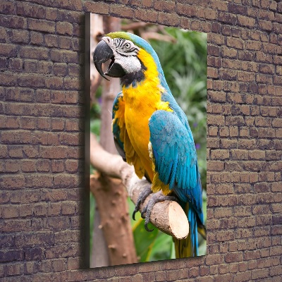 Foto obraz na płótnie do salonu pionowy Papuga Ara