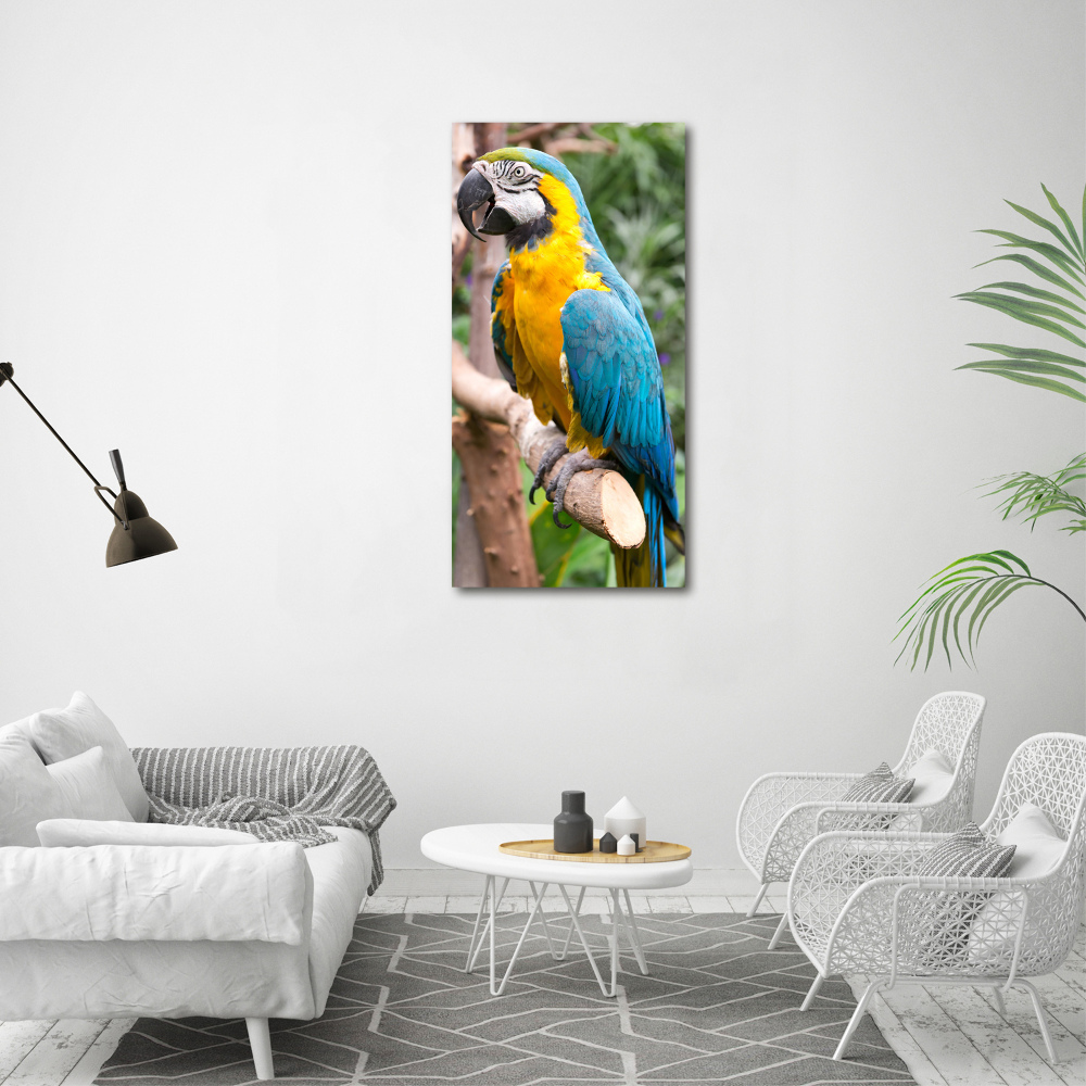 Foto obraz na płótnie do salonu pionowy Papuga Ara
