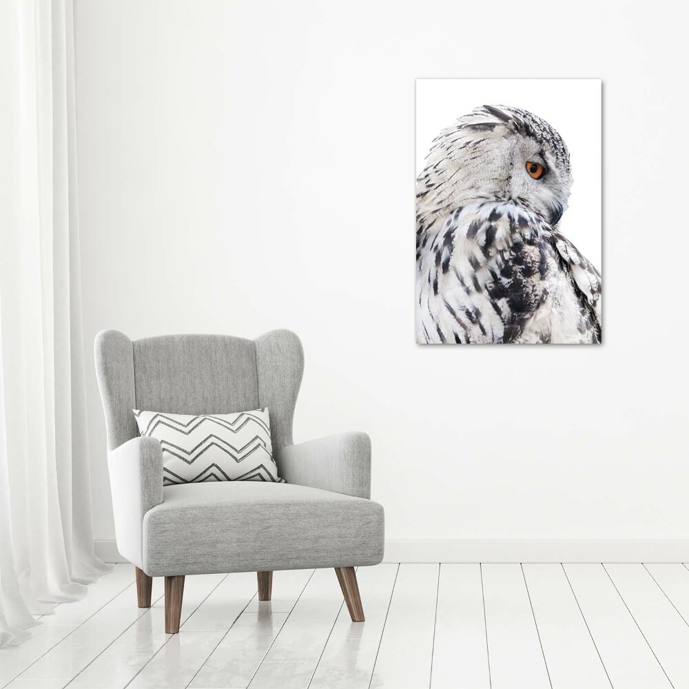 Foto obraz na płótnie do salonu pionowy Biała sowa