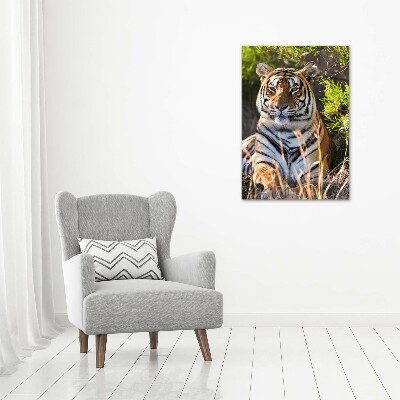 Nowoczesny fotoobraz canvas na ramie pionowy Tygrys