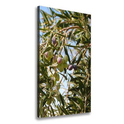 Foto obraz na płótnie pionowy Oliwki na drzewie